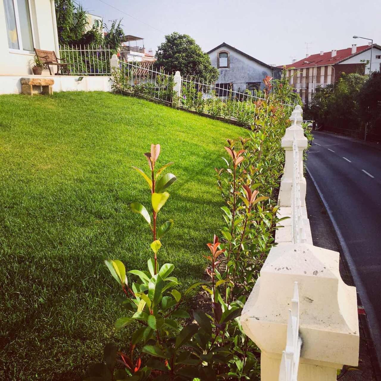 Coimbraameias Dış mekan fotoğraf